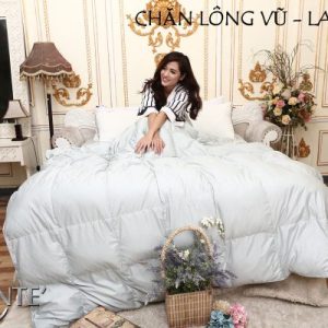Chan Long Vu 1 600x400