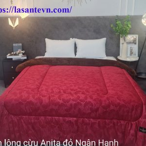 Anita Do Ngan Hanh1