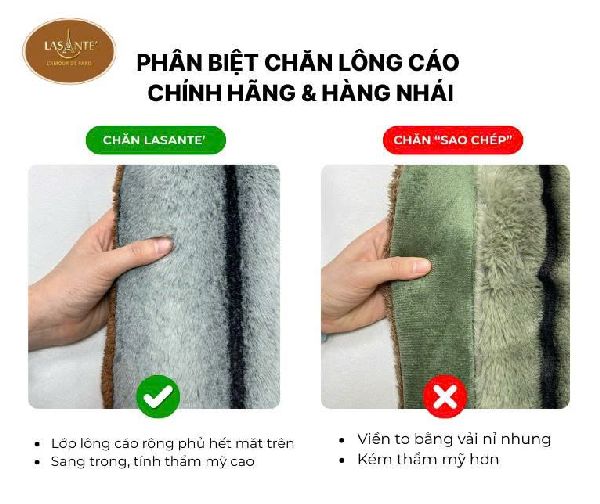 Phân Biệt Chăn Celine Lasante