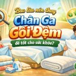 bao lâu nên thay chăn ga gối đệm