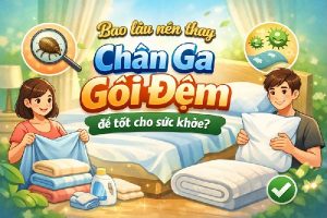 bao lâu nên thay chăn ga gối đệm