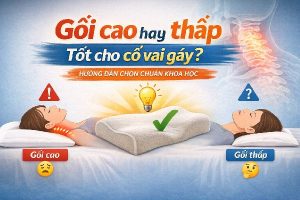 Gối cao hay thấp tốt cho cổ vai gáy