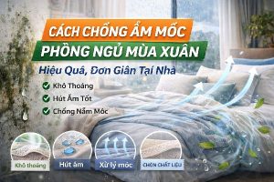 Cách Chống Ẩm Mốc Phòng Ngủ Mùa Xuân Hiệu Quả